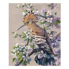 Canvas Hobby Bahar ve Kuş Kasnaklı 70 x 90 cm Sayılarla Boyama Seti
