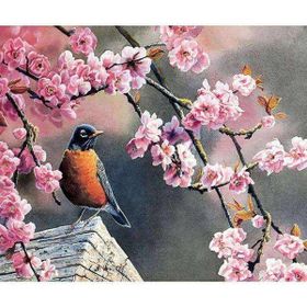 Canvas Hobby Bahar ve Kuşlar 2 70 x 90 cm Kasnaklı Sayılarla Boyama Seti