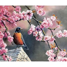 Canvas Hobby Bahar ve Kuşlar 2 Kasnaklı 100 x 140 cm Sayılarla Boyama Seti
