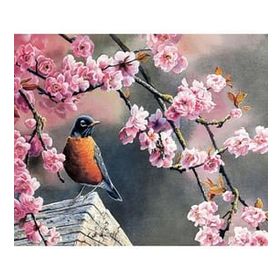 Canvas Hobby Bahar ve Kuşlar 2 Kasnaklı 90 x 110 cm Sayılarla Boyama Seti