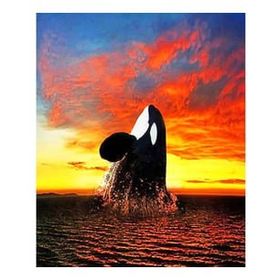 Canvas Hobby Balina Kasnaklı 50 x 65 cm Sayılarla Boyama Seti