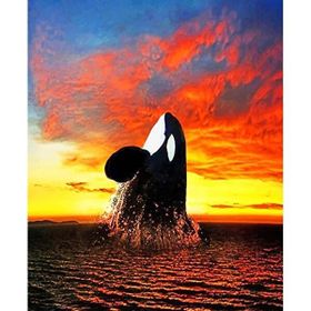 Canvas Hobby Balina Sayılarla Boyama Seti Kasnaklı 100 x 140 cm Sayılarla Boyama Seti