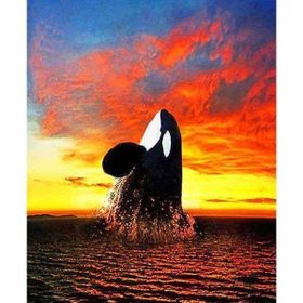 Canvas Hobby Balina Sayılarla Boyama Seti Kasnaklı 100 x 140 cm Sayılarla Boyama Seti