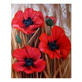 Canvas Hobby Başak ve Gelincik Renkli Kasnaklı 40 x 50 cm Sayılarla Boyama Seti