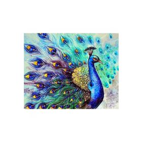 Canvas Hobby Bereket Tavus Kuşu 50 x 65 Kasnaklı Sayılarla Boyama Seti