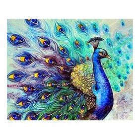 Canvas Hobby Bereket Tavus Kuşu Kasnaklı 40 x 50 cm Sayılarla Boyama Seti