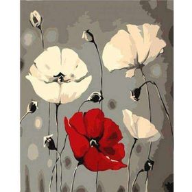 Canvas Hobby Beyaz ve Kırmızı Gelincik 70 x 90 cm Kasnaklı Sayılarla Boyama Seti