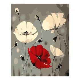 Canvas Hobby Beyaz ve Kırmızı Gelincik Kasnaklı 40 x 50 cm Sayılarla Boyama Seti