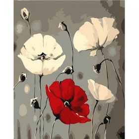 Canvas Hobby Beyaz ve Kırmızı Gelincik Kasnaklı 40 x 50 cm Sayılarla Boyama Seti