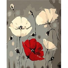 Canvas Hobby Beyaz ve Kırmızı Gelincik Kasnaklı 50 x 65 cm Sayılarla Boyama Seti