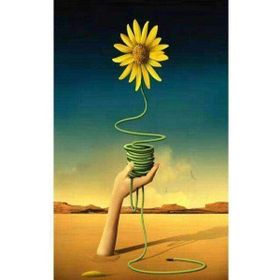 Canvas Hobby Canvas Arnika Kasnaklı 100 x 140 cm Sayılarla Boyama Seti
