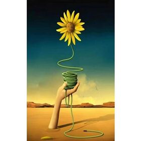 Canvas Hobby Canvas Arnika Kasnaklı 100 x 140 cm Sayılarla Boyama Seti