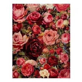 Canvas Hobby Canvas Gül Demeti 50x65 cm Rulo Sayılarla Boyama Seti