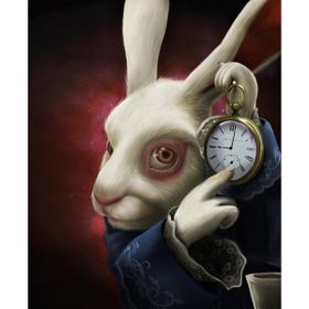 Canvas Hobby Canvas Harikalar Diyarı 2 90 x 110 cm Kasnaklı Sayılarla Boyama Seti