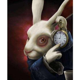 Canvas Hobby Canvas Harikalar Diyarı 2 90 x 110 cm Kasnaklı Sayılarla Boyama Seti