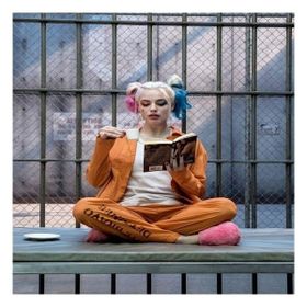 Canvas Hobby Canvas Harleyquinn'İn Bir Günü 50x65 cm Rulo Sayılarla Boyama Seti