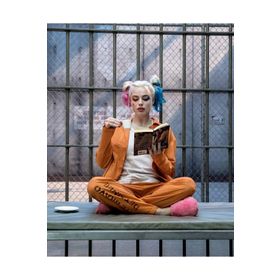 Canvas Hobby Canvas Harleyquinn'İn Bir Günü 50x65 cm Rulo Sayılarla Boyama Seti