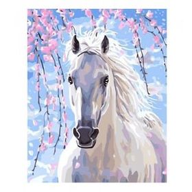 Canvas Hobby Canvas Işıltılı Orlov 40 x 50 cm Kasnaklı Sayılarla Boyama Seti