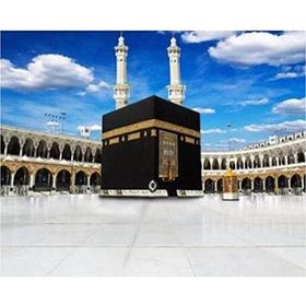 Canvas Hobby Canvas Kabe 50x65 cm Rulo Sayılarla Boyama Seti