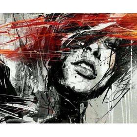 Canvas Hobby Canvas Kadının Çizgileri 50x65 cm Rulo Sayılarla Boyama Seti