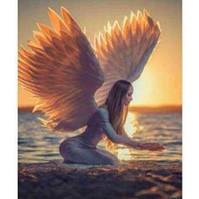 Canvas Hobby Canvas Kanatlı Kadın 90 x 110 cm Kasnaklı Sayılarla Boyama Seti