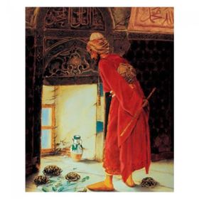 Canvas Hobby Canvas Kaplumbağa Terbiyecisi 50x65 cm Rulo Sayılarla Boyama Seti
