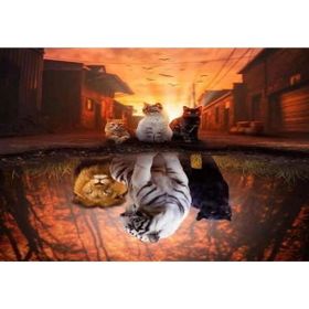 Canvas Hobby Canvas Kedilerin Yansıması 90 x 110 cm Kasnaklı Sayılarla Boyama Seti