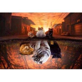 Canvas Hobby Canvas Kedilerin Yansıması 90 x 110 cm Kasnaklı Sayılarla Boyama Seti