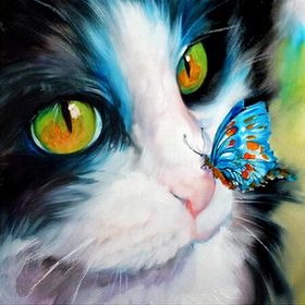Canvas Hobby Canvas Kedinin Burnundaki Kelebek 50x65 cm Rulo Sayılarla Boyama Seti