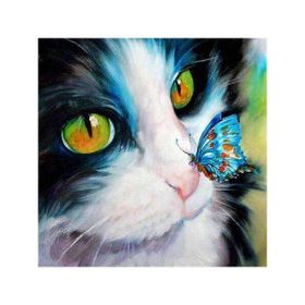 Canvas Hobby Canvas Kedinin Burnundaki Kelebek 50x65 cm Rulo Sayılarla Boyama Seti