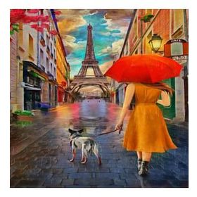 Canvas Hobby Canvas Köpeğini Gezdiren Kadın 50x65 cm Rulo Sayılarla Boyama Seti