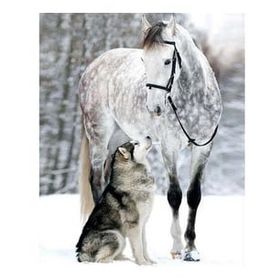 Canvas Hobby Canvas Kurt ve Atın Dostluğu 90 x 110 cm Kasnaklı Sayılarla Boyama Seti