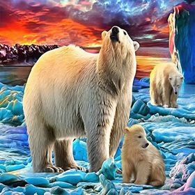 Canvas Hobby Canvas Kutup Ayılari 50x65 cm Rulo Sayılarla Boyama Seti