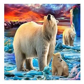 Canvas Hobby Canvas Kutup Ayıları 90 x 110 cm Kasnaklı Sayılarla Boyama Seti
