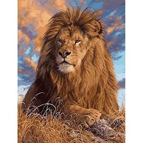 Canvas Hobby Canvas Lider Aslan 90 x 110 cm Kasnaklı Sayılarla Boyama Seti