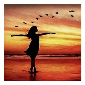Canvas Hobby Canvas Martılarla Dans 70 x 90 cm Kasnaklı Sayılarla Boyama Seti