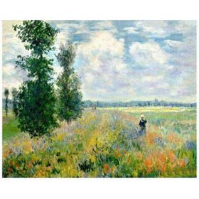 Canvas Hobby Canvas Monet Haşhaş Bahçesi 40 x 50 cm Kasnaklı Sayılarla Boyama Seti