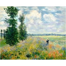Canvas Hobby Canvas Monet Haşhaş Bahçesi 50 x 65 cm Kasnaklı Sayılarla Boyama Seti
