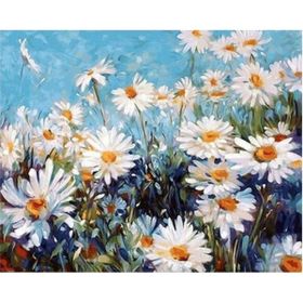 Canvas Hobby Canvas Papatya Tarlası 50 x 65 cm Kasnaklı Sayılarla Boyama Seti