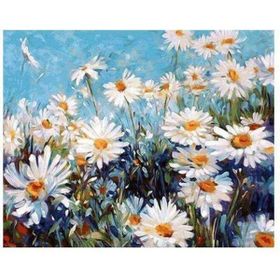 Canvas Hobby Canvas Papatya Tarlası 70 x 90 cm Kasnaklı Sayılarla Boyama Seti