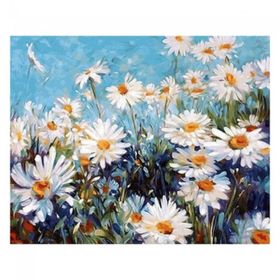 Canvas Hobby Canvas Papatya Tarlası 70 x 90 cm Kasnaklı Sayılarla Boyama Seti