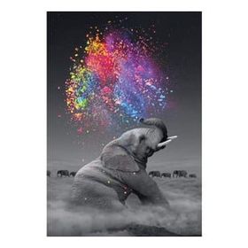Canvas Hobby Canvas Renk Yağmuru ve Fil 90 x 110 cm Kasnaklı Sayılarla Boyama Seti