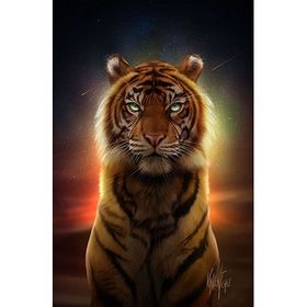 Canvas Hobby Canvas Ritüel Kaplanı 40x50 cm Kasnaklı Sayılarla Boyama Seti