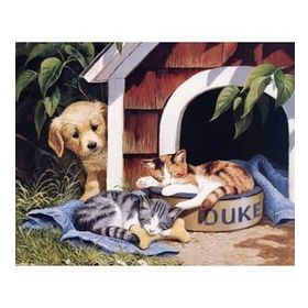 Canvas Hobby Canvas Sevimli Dostlar 90 x 110 cm Rulo Boyama Seti
