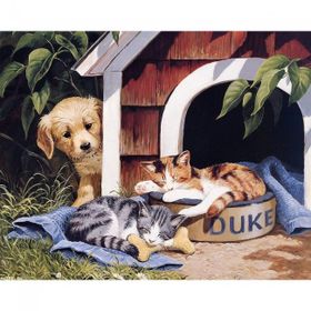Canvas Hobby Canvas Sevimli Dostlar 90 x 110 cm Rulo Boyama Seti