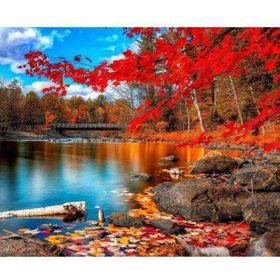Canvas Hobby Canvas Sonbaharın Güzelliği 90 x 110 cm Kasnaklı Sayılarla Boyama Seti