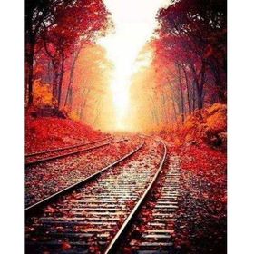 Canvas Hobby Canvas Tren Rayları 40x50 cm Kasnaklı Sayılarla Boyama Seti