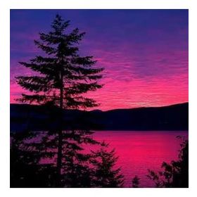 Canvas Hobby Canvas Yanlız Ağaç 90 x 110 cm Rulo Sayılarla Boyama Seti