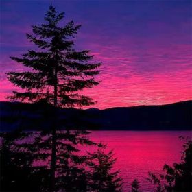 Canvas Hobby Canvas Yanlız Ağaç 90 x 110 cm Rulo Sayılarla Boyama Seti