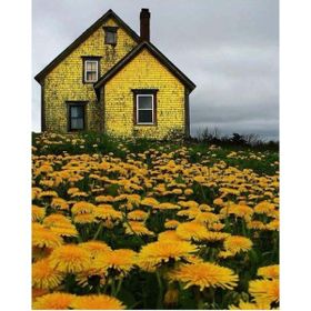 Canvas Hobby Çiçek Tarlasındaki Sarı Ev Kasnaklı 100 x 140 cm Sayılarla Boyama Seti